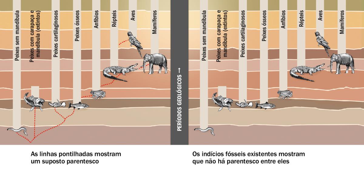 Um gráfico mostra as supostas relações que existem entre diferentes tipos de animais