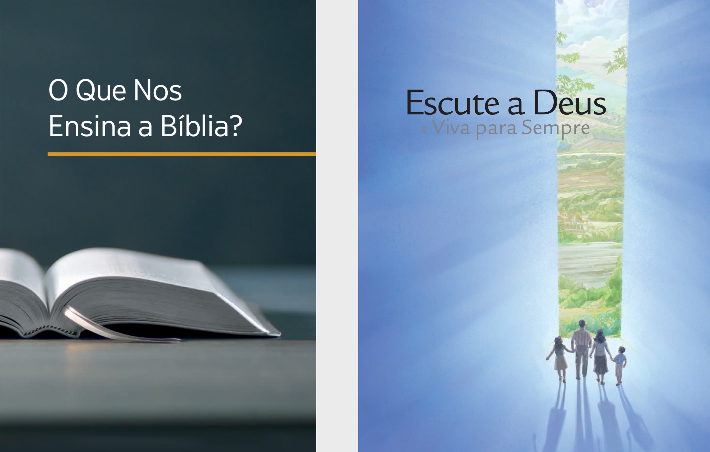 O livro ‘O Que Nos Ensina a Bíblia?’ e a brochura ‘Boas Notícias’