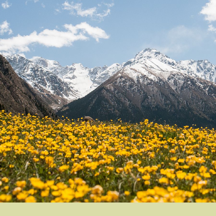 Montanhas de Teskey Ala-Too