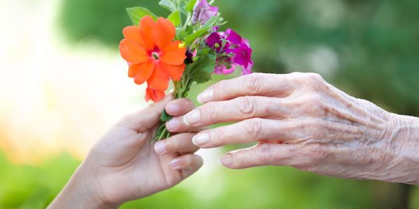 Um pequeno buquê de flores que com o tempo murcharão