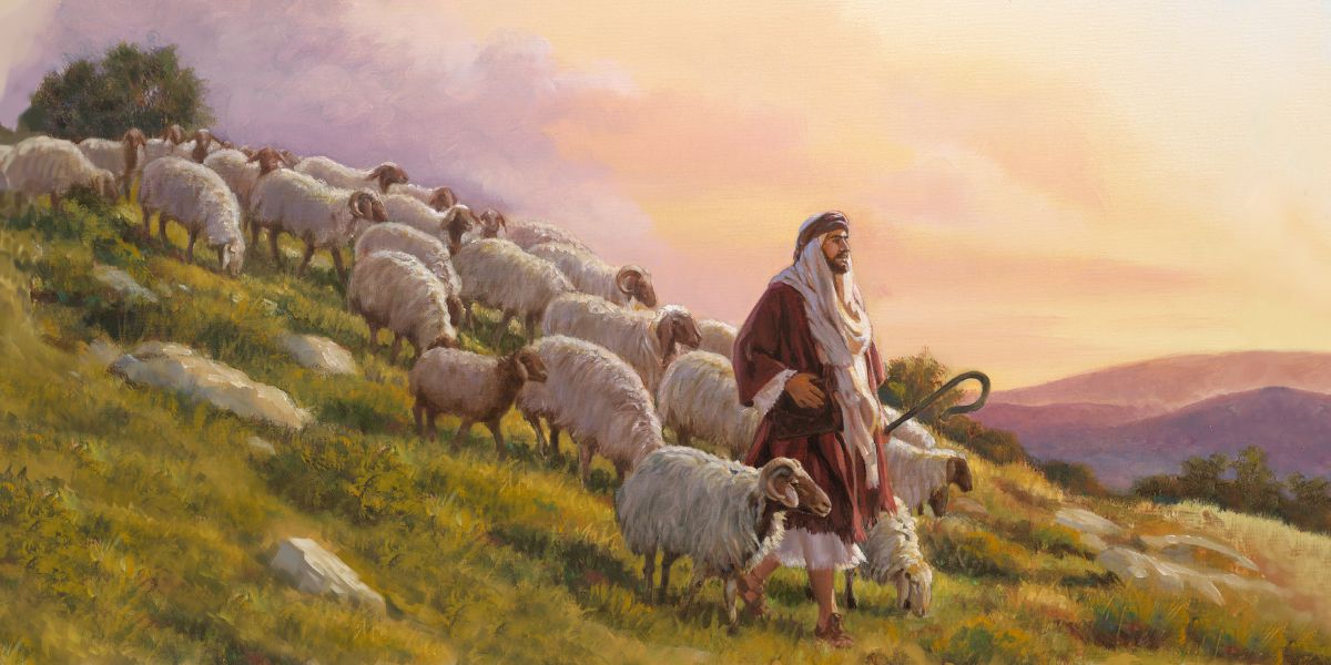 Ovelhas descendo uma montanha, indo atrás do pastor