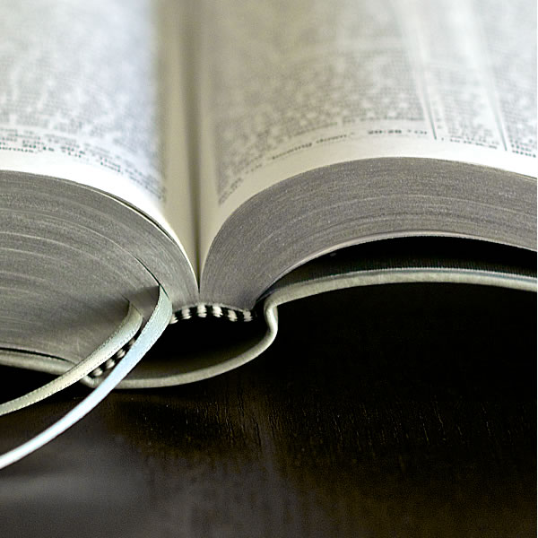 Portada de La Biblia. Traducción del Nuevo Mundo