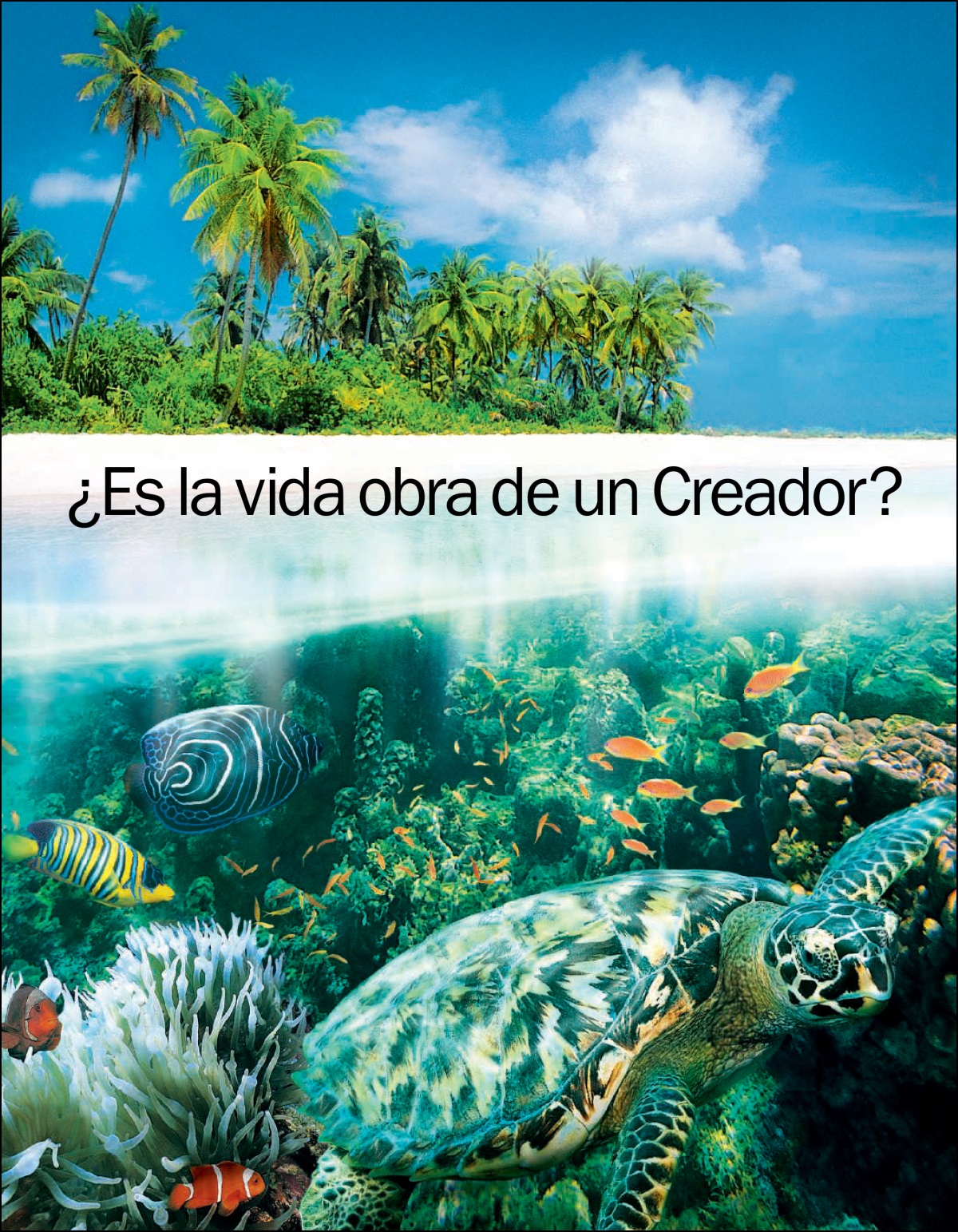 “¿Es la vida obra de un Creador?” neq follëtu.