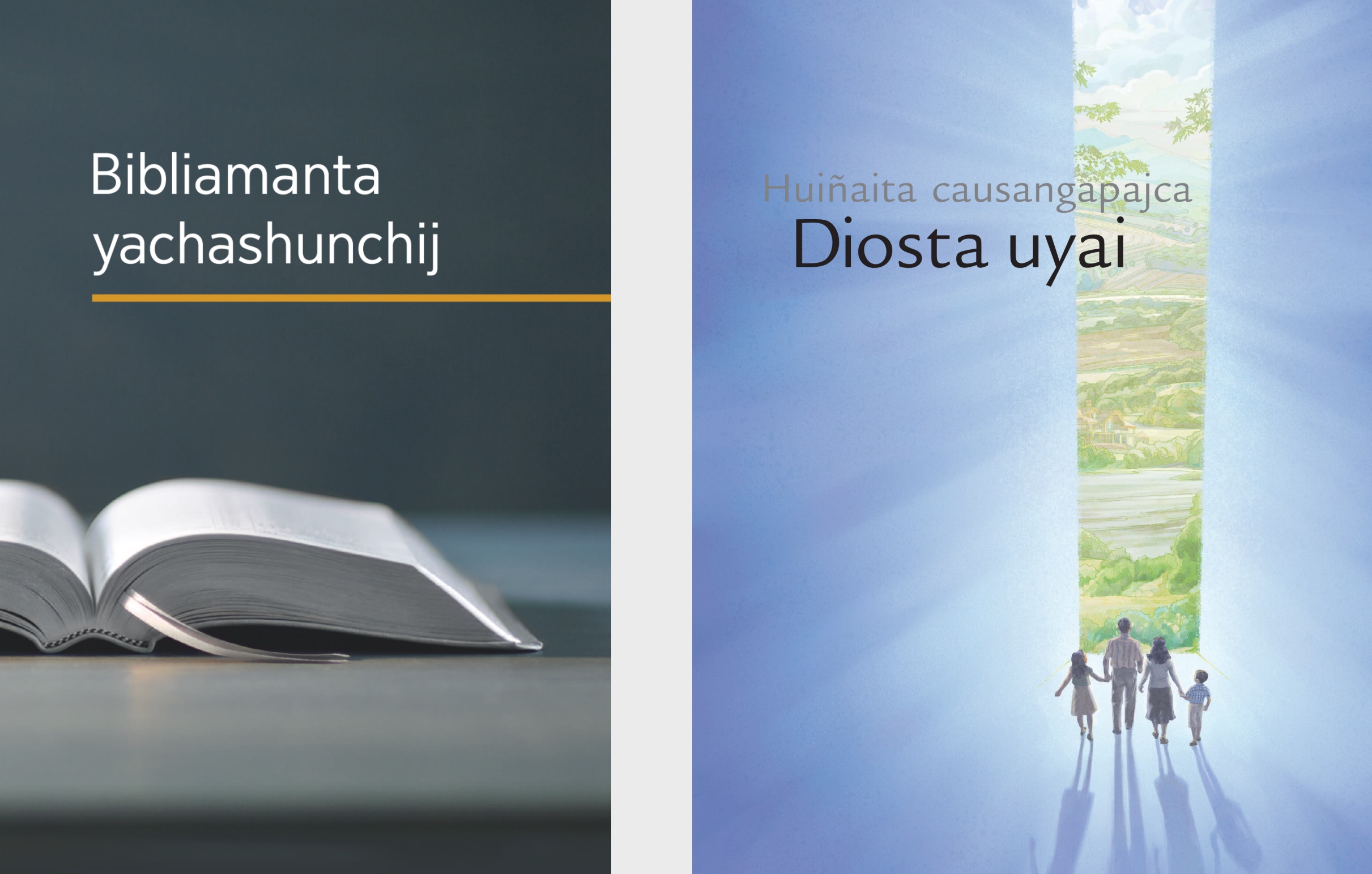 Bibliamanta yachashunchij libro y Dios cushca alli huillaicuna folleto