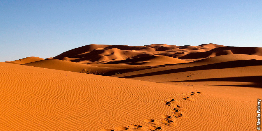 Sahara sutiyuq chunniq