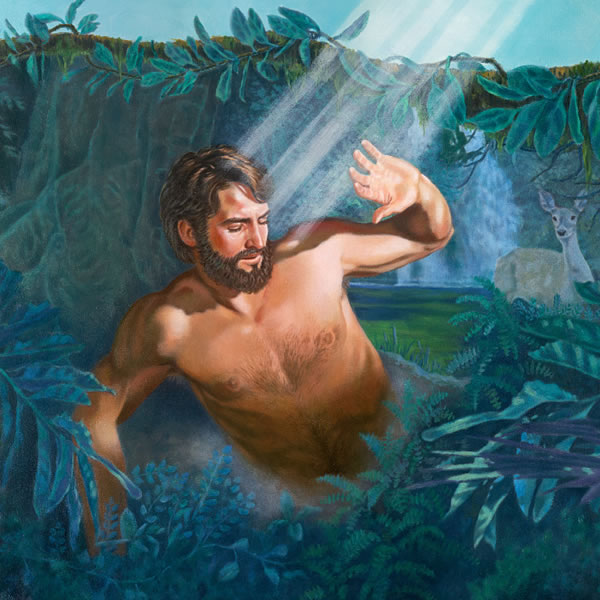 Jehová Diosmi Adanta ñut’u hallp’amanta kamashan