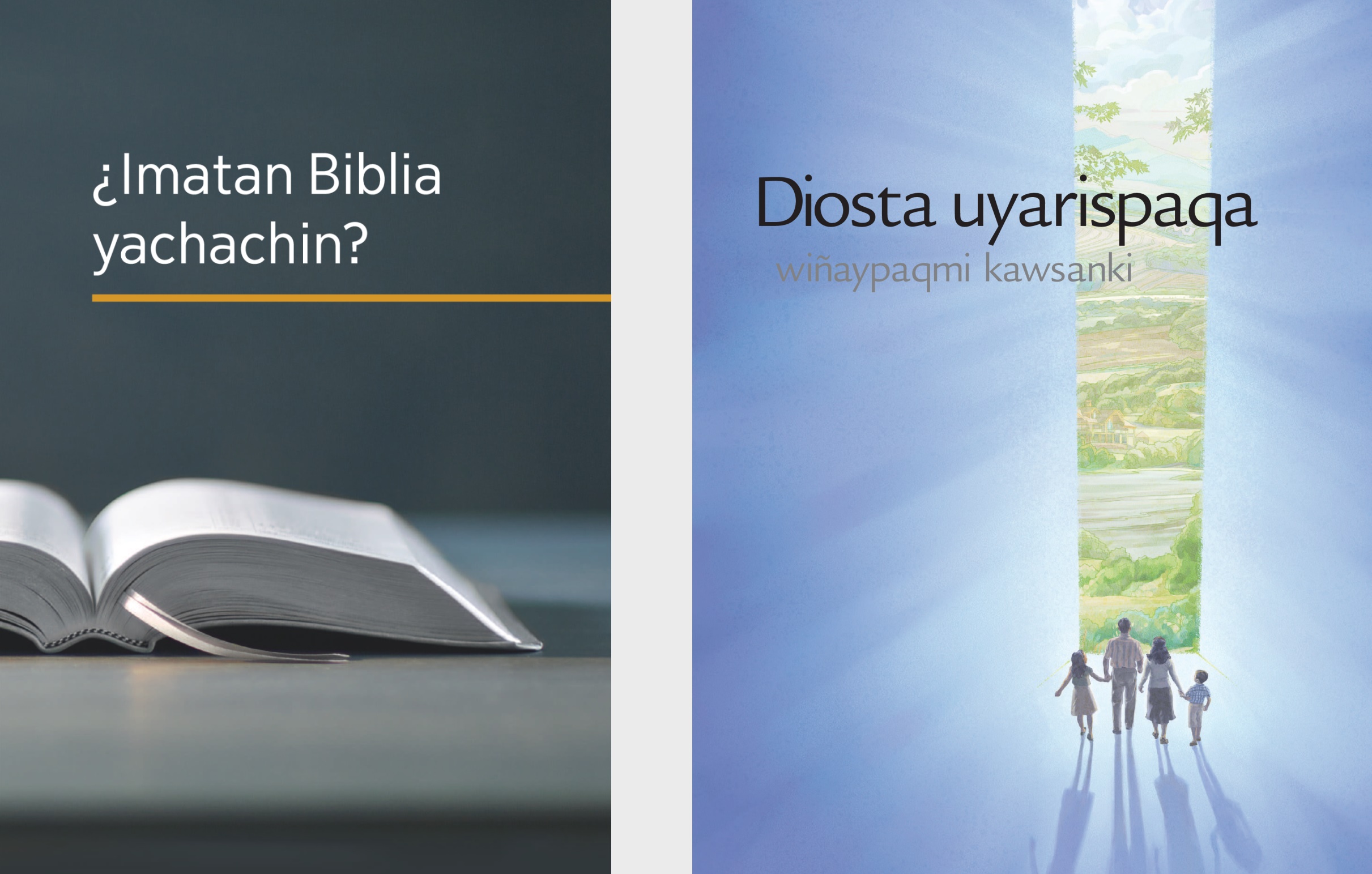 “¿Imatan Biblia yachachin?” nisqa libro, “¡Diosmanta hamuq allin willakuykuna!” nisqa qelqa