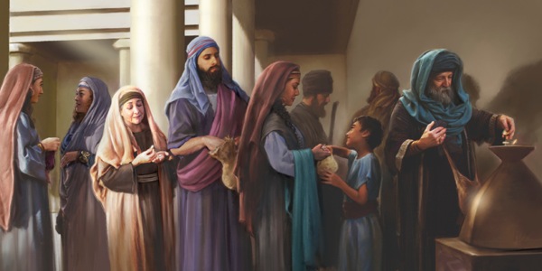 Wakcha viudan colapi sayashan donacionninta churananpaq
