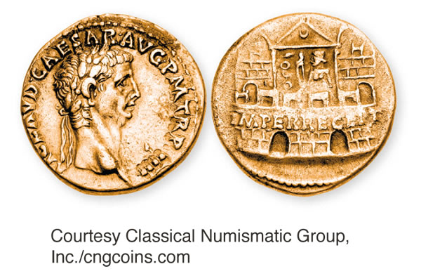 [Tutu i te kapi 14]