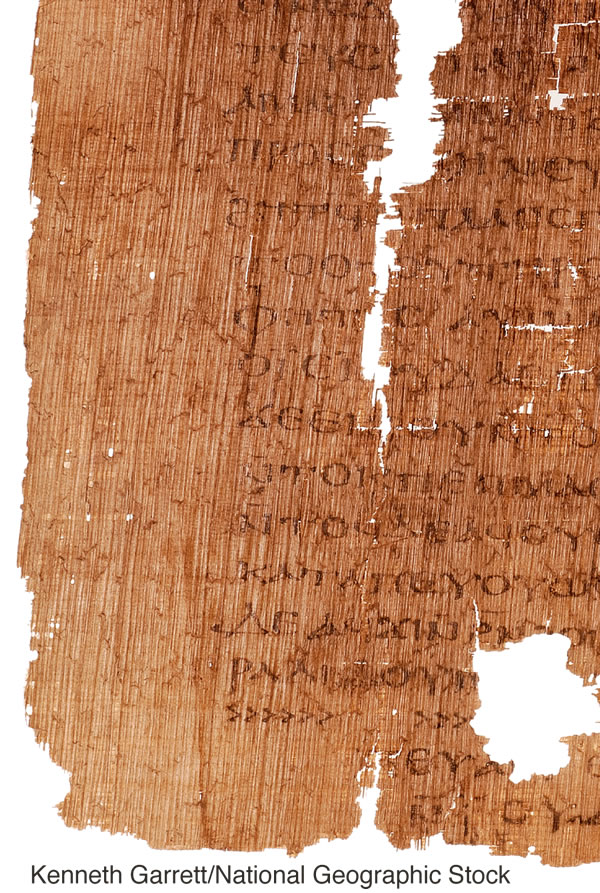 [Tutu i te kapi 15]