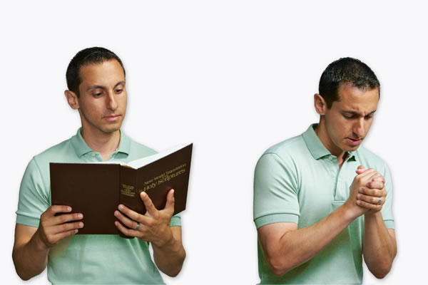 [Tutu i te kapi 11]