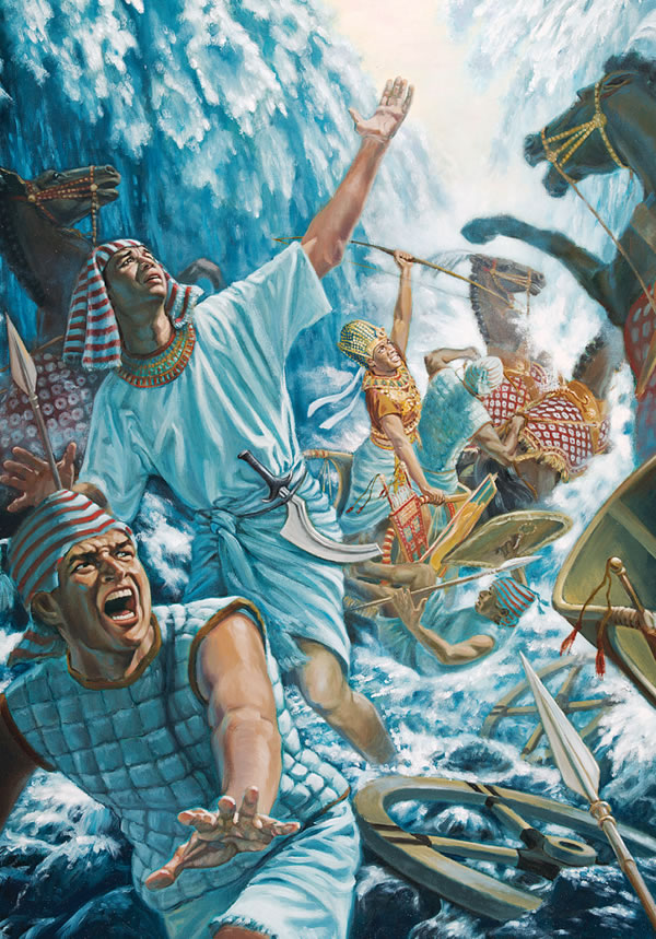 [Tutu i te kapi 26]