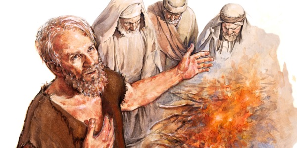 [Tutu i te kapi 17]