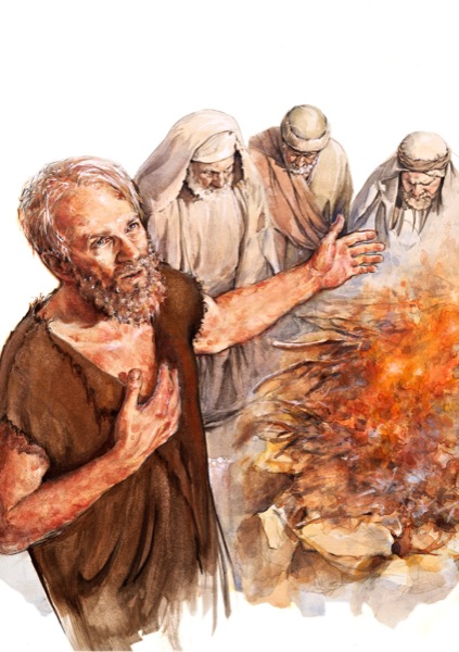 [Tutu i te kapi 21]