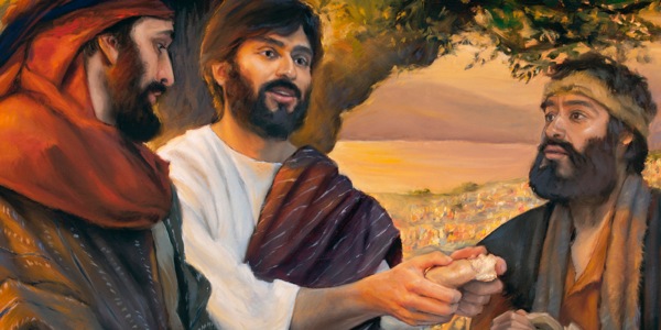 [Tutu i te kapi 15]