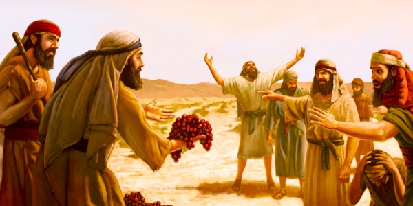 [Tutu i te kapi 10]