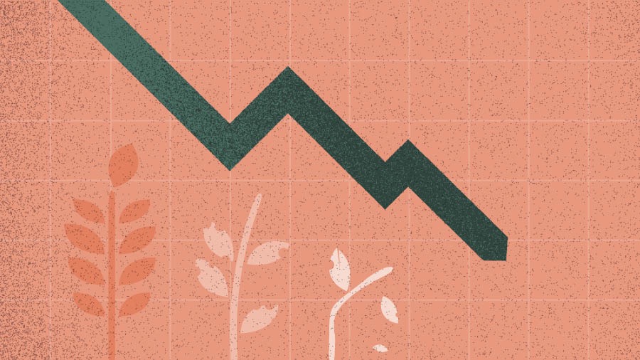 In grafik i mont ke la produksion séréal la bésé.