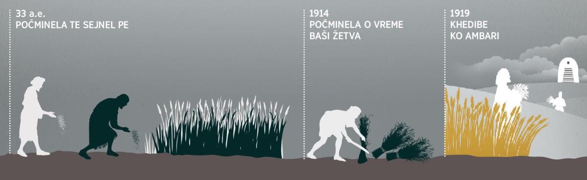 Tabela beršencar so sikavela keda počmingja te sejnel pe, i žetva hem o khedibe ko ambarija