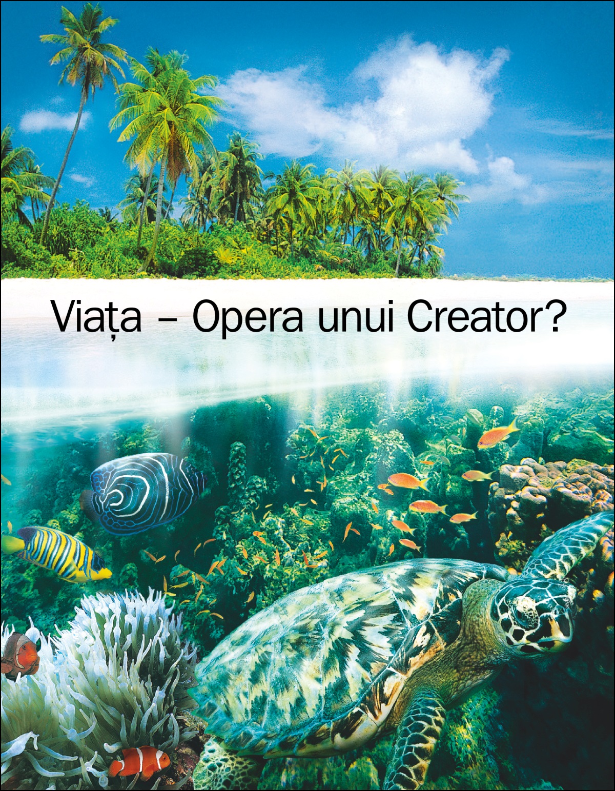 I broșura „I viața – Sas cărdi ieche Creatorostar?”