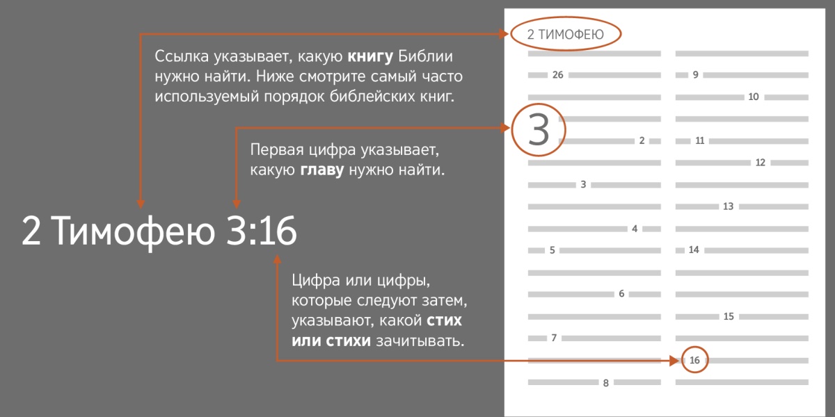 Библейские книги, главы и стихи