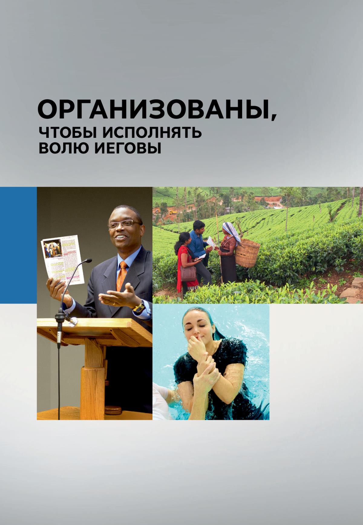 Обложка книги «Организованы, чтобы исполнять волю Иеговы»