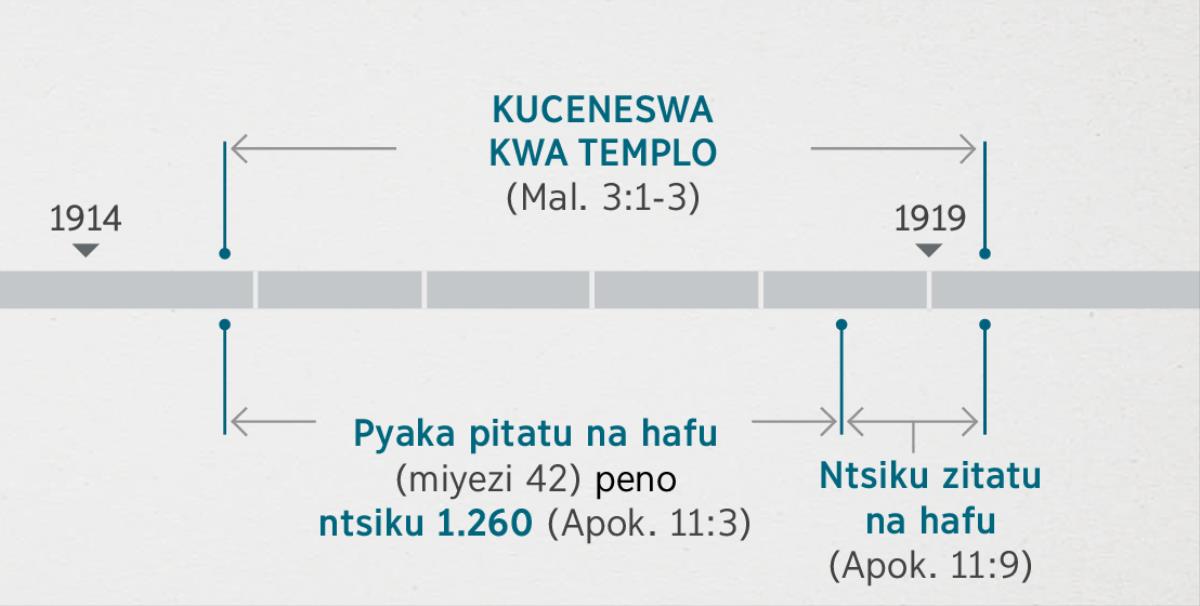 Lemba ya Apokalipse 11:1, 2 isabverana na basa ya kudinga na kucenesa templo yauzimu inalongwa pa Malakiya 3:1-3. Ndzidzi udakwanirisika profesiya usapangiza: Kuceneswa kwa templo kutomera kunkhomo kwa caka 1914 mpaka kutoma kwa caka 1919; pyaka pitatu na hafu peno ntsiku 1.260 kutomera kunkhomo kwa caka 1914 mpaka kutoma kwa caka 1918; ntsiku zitatu na hafu kutomera kunkhomo kwa caka 1918 mpaka kutoma kwa caka 1919.