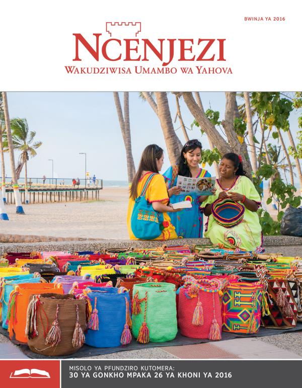 Ncenjezi wa Pfundziro, Bwinja ya 2016
