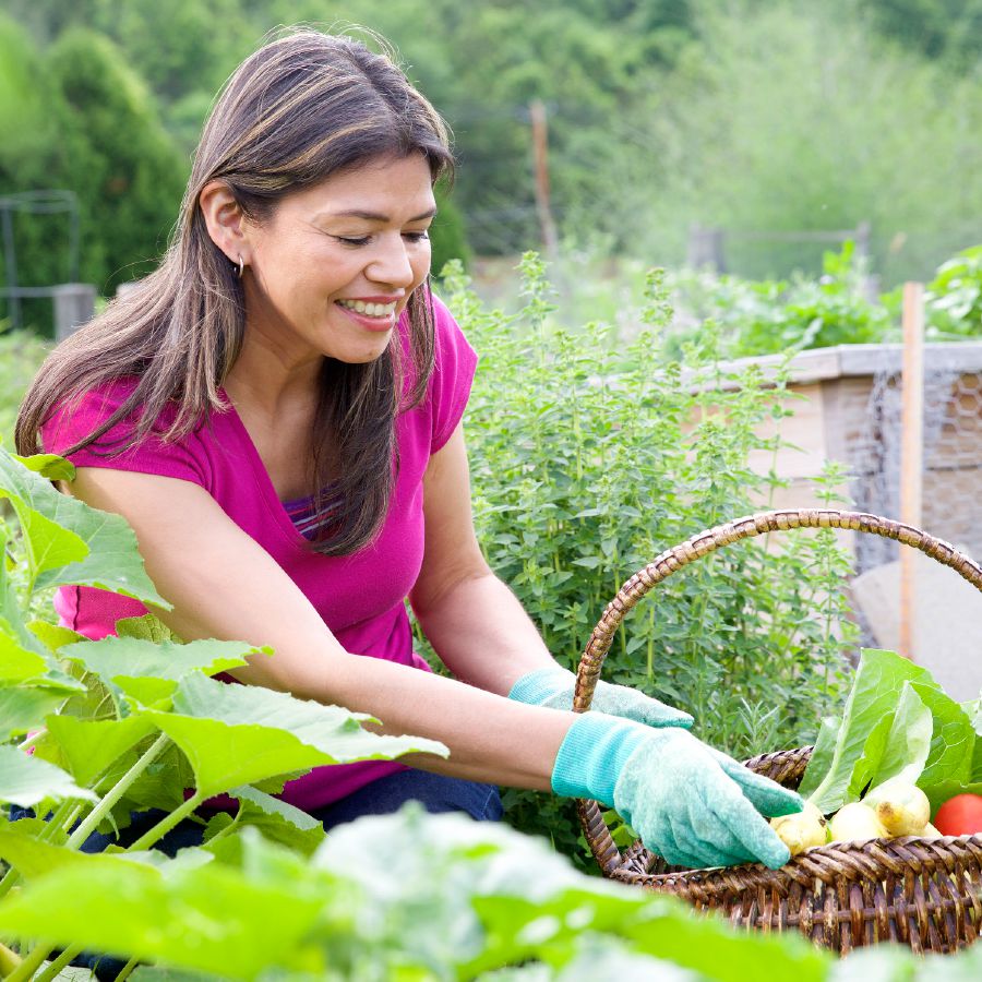 Mbeni wali angbâ ti sara kua na yâ ti jardin ti lo