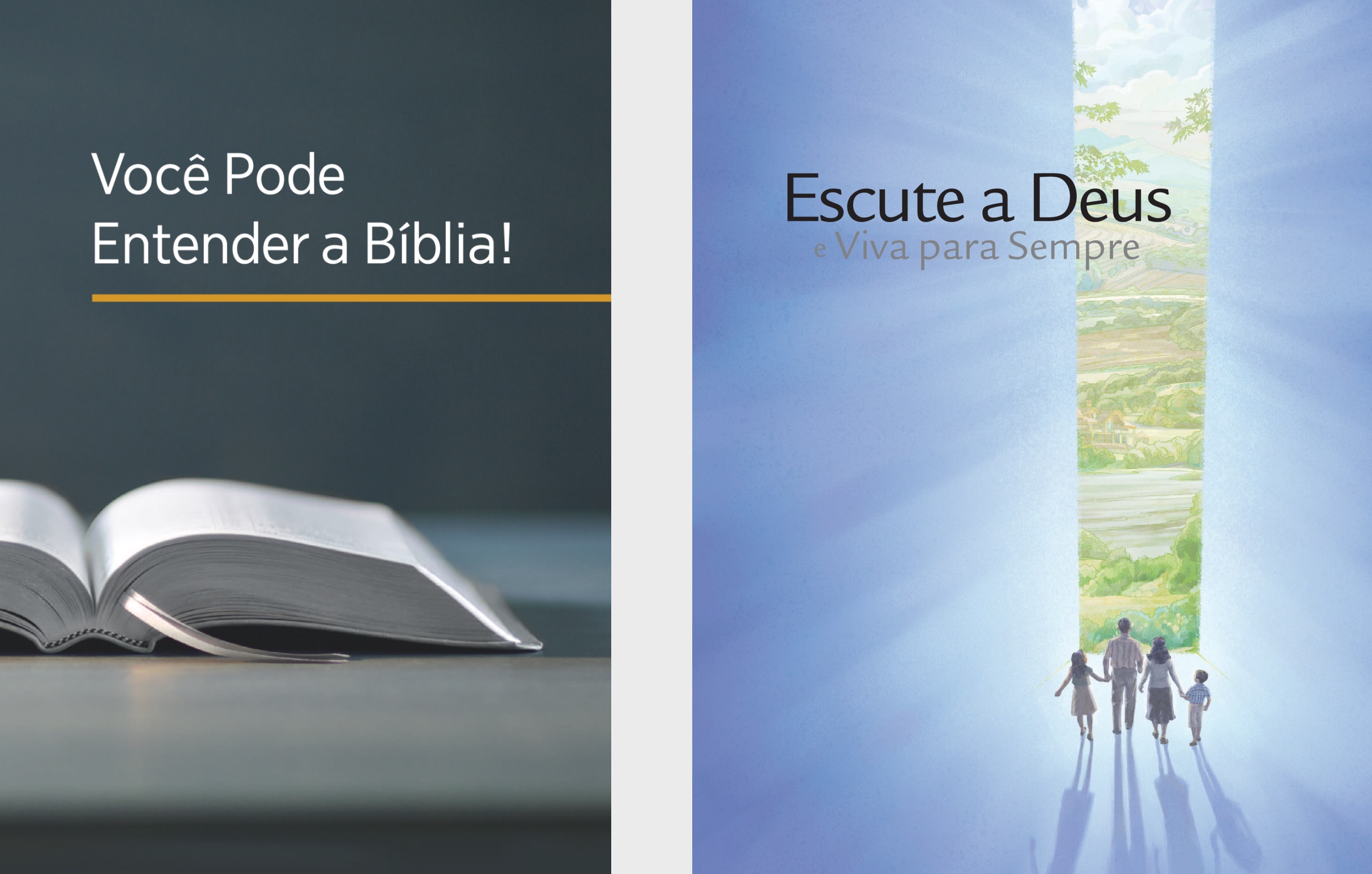 O livro ‘Você Pode Entender a Bíblia!’ e a brochura ‘Escute a Deus e Viva para Sempre’.