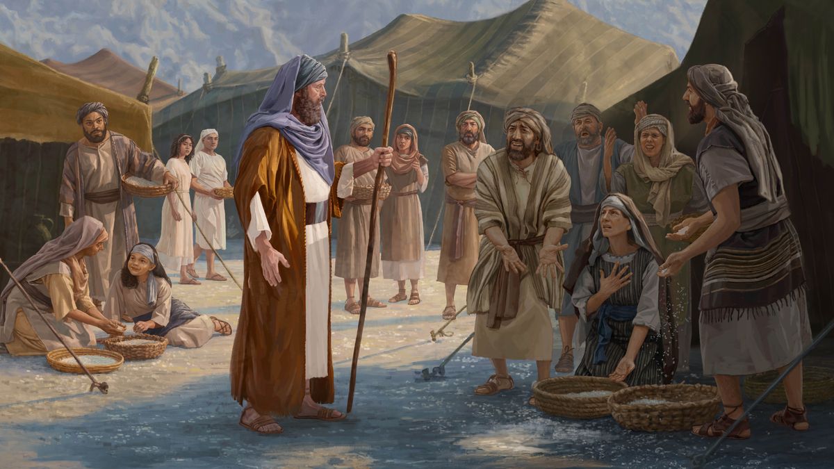 မန္နမုန့် ကောက်ရင်း အစ္စရေးတချို့ မောရှေကို မကျေမနပ် ပြစ်တင်ညည်းညူနေ။ တခြားသူတွေ အနီးအနားမှာ မန္နမုန့် ဆက်ကောက်ရင်း ကြည့်နေ။