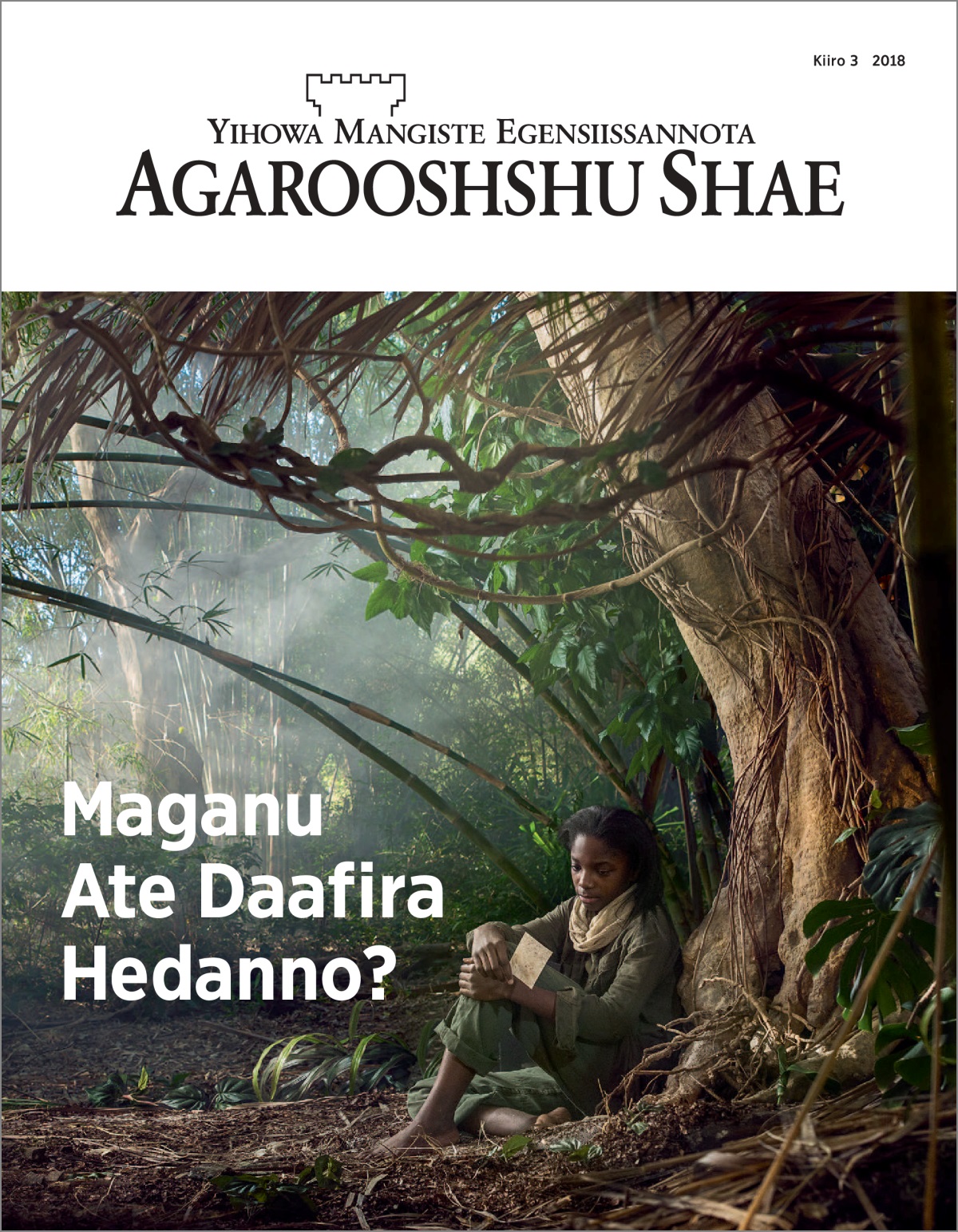 “Agarooshshu Shae” Kiiro 3 2018.