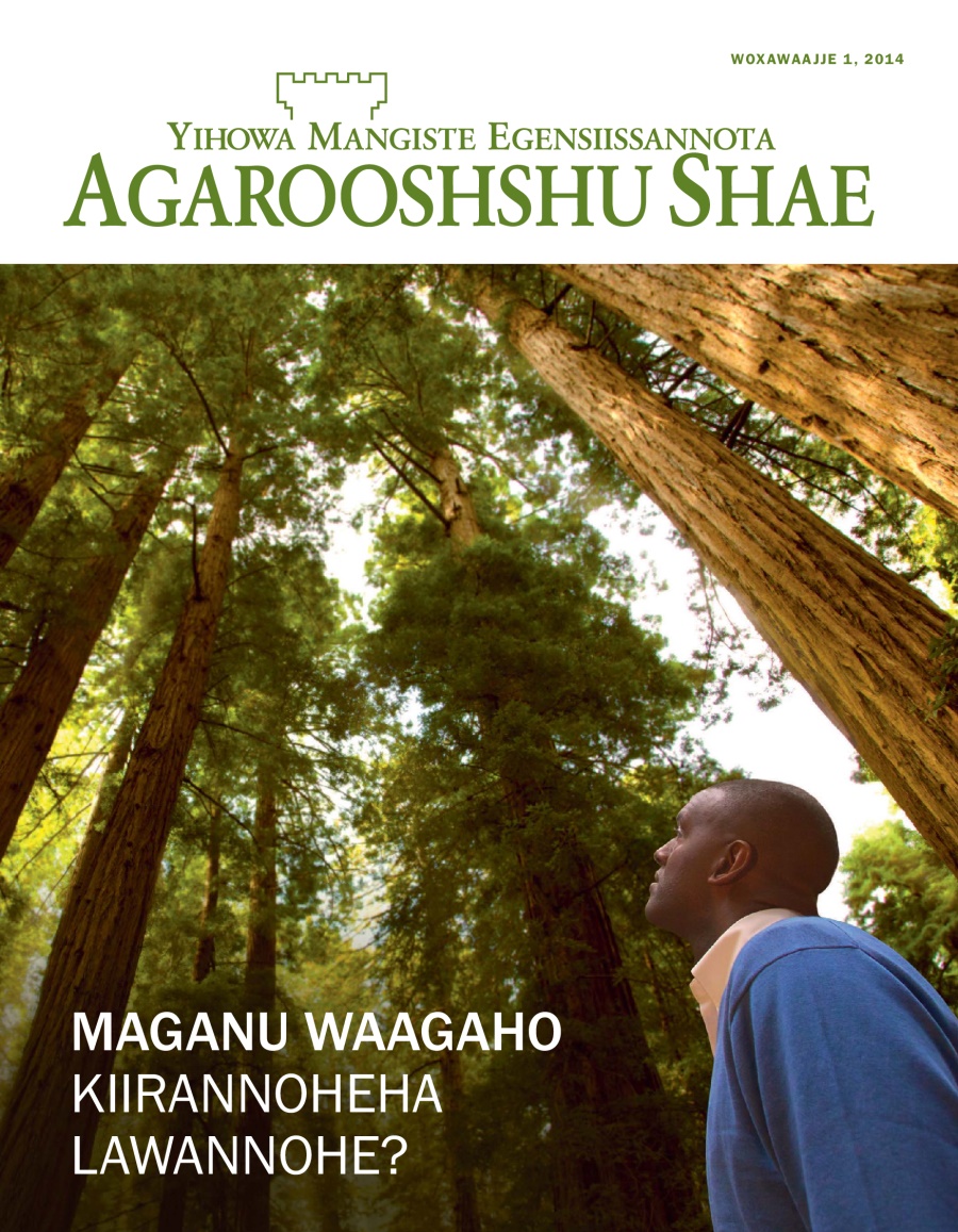 Woxawaajje 2014, Agarooshshu Shaeha Aaniidi Qoola | Maganu Waagaho Kiirannoheha Lawannohe?