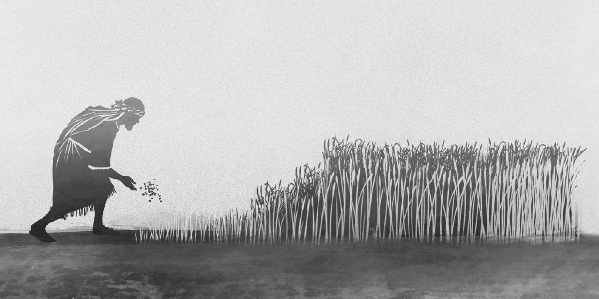 Mittu manchi wolu manchi gate boddoono wixanni no