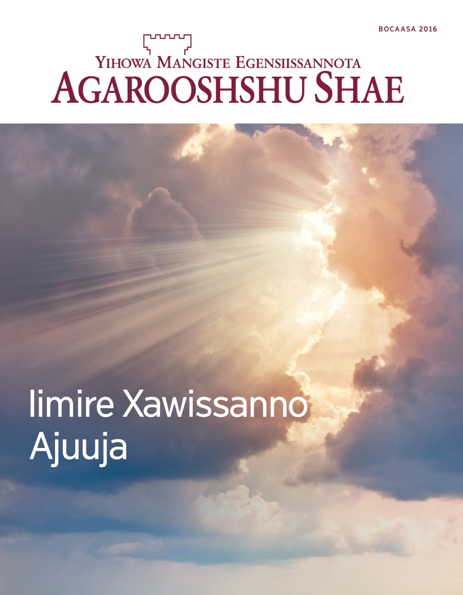 Agarooshshu Shae Xiinxallo, Bocaasa 2016