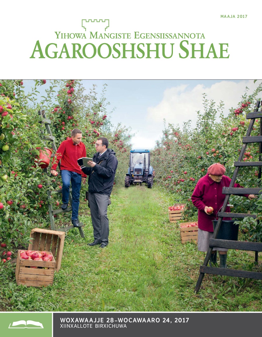 Agarooshshu Shae Xiinxallote Ittime, Maaja 2017