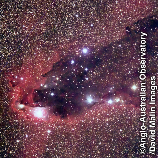 Záber z teleskopu na množstvo hviezd a galaxií.