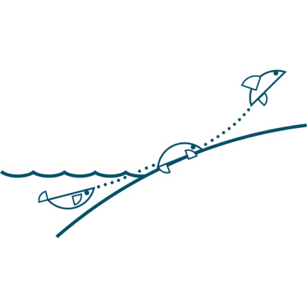 Nákres priebehu evolúcie