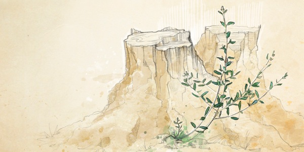 Zoťatý strom znovu vypučal