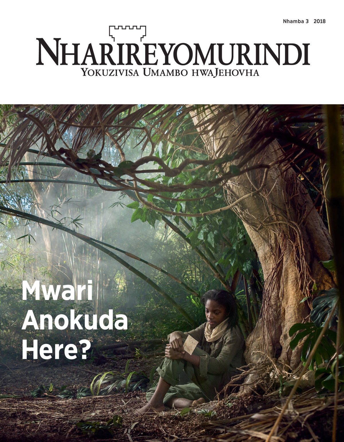 ‘Nharireyomurindi’ Nhamba 3 2018.