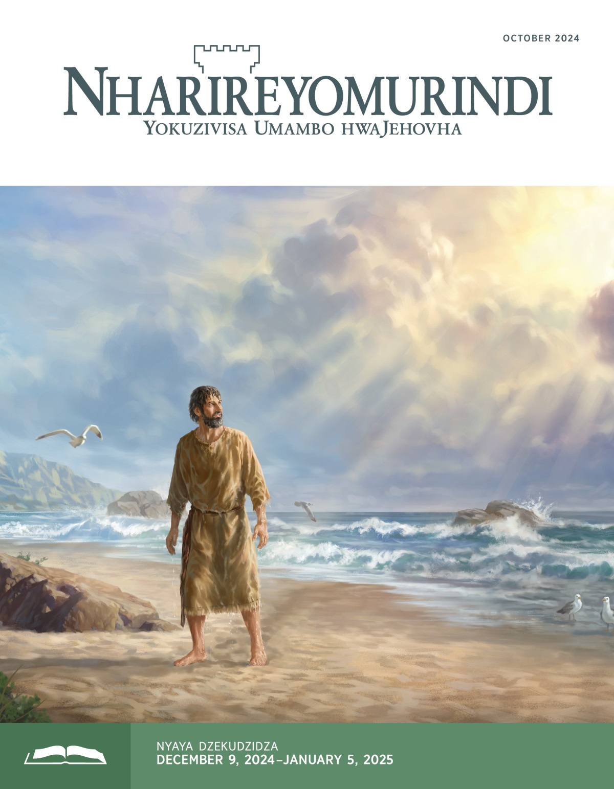 Muprofita Jona akamira pamhenderekedzo yegungwa akatarisa mudenga. Akati chakwata nemvura.