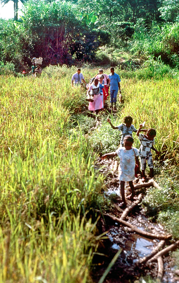 Mufananidzo uri papeji 125