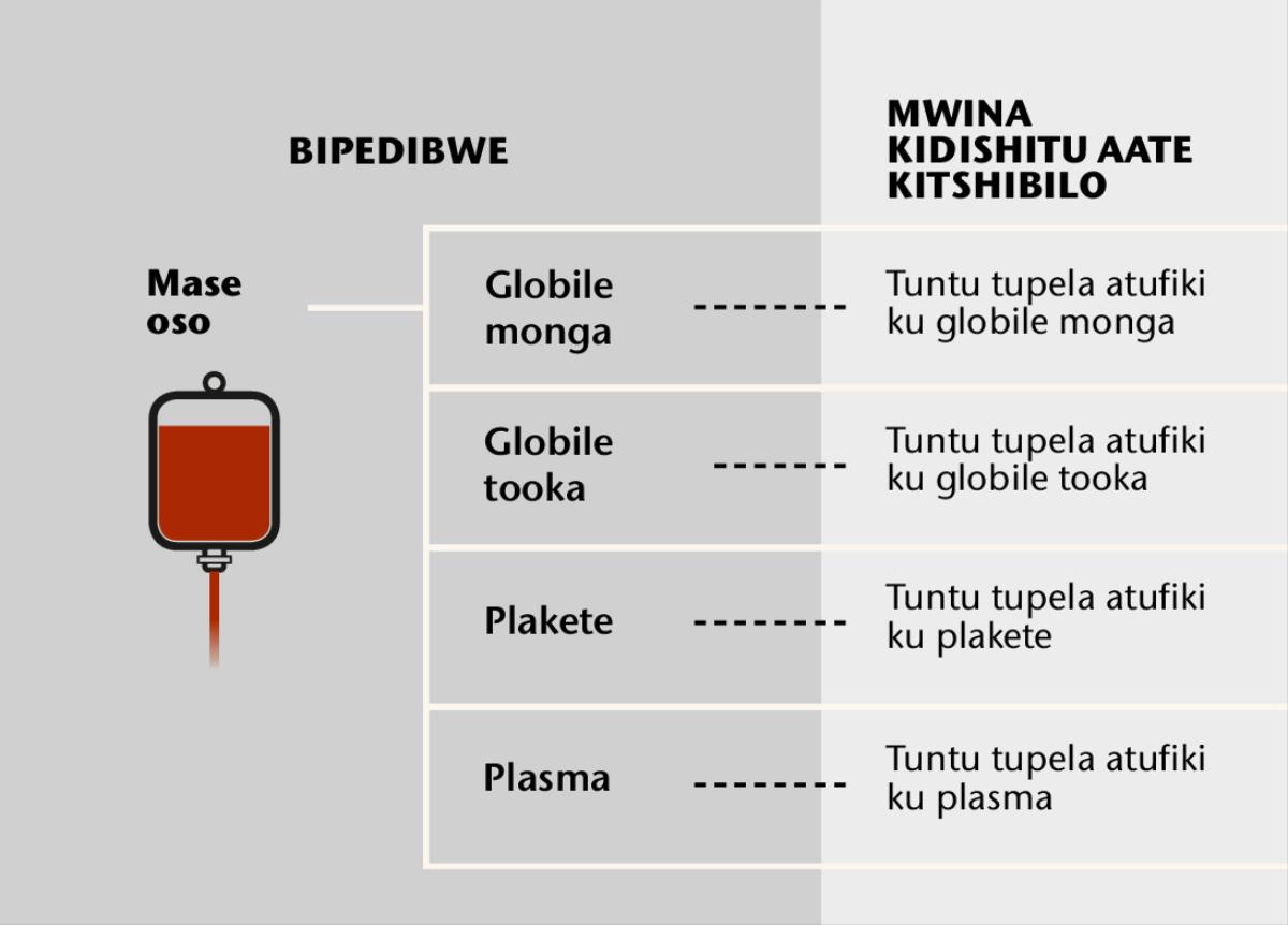 Mase, bipindji byao bikata binanka, na tuntu tupela twa mu mase
