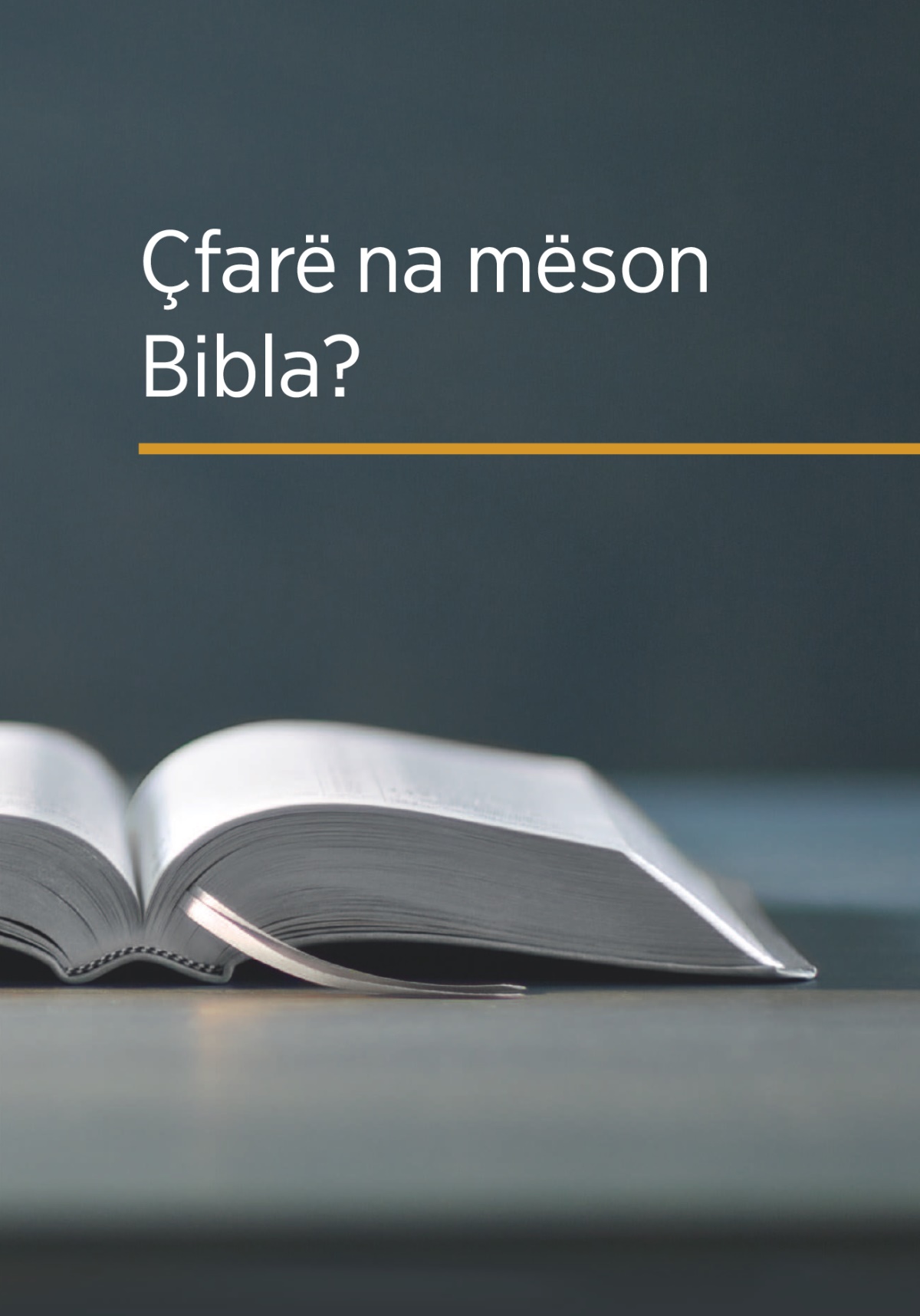 Kopertina e librit «Çfarë na mëson Bibla?»