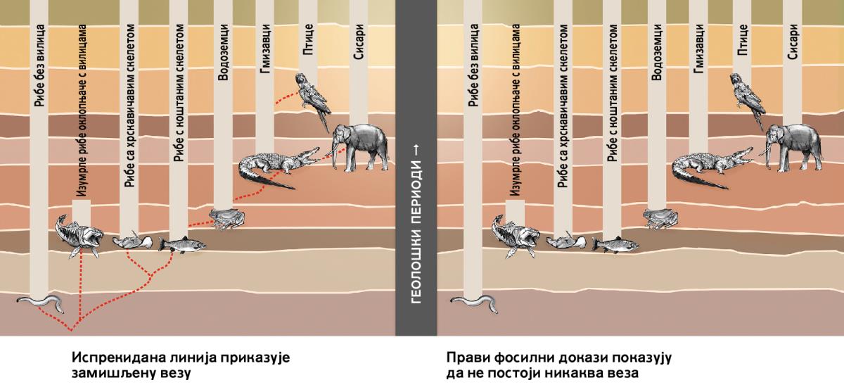 Графикон који приказује замишљену везу између различитих врста животиња