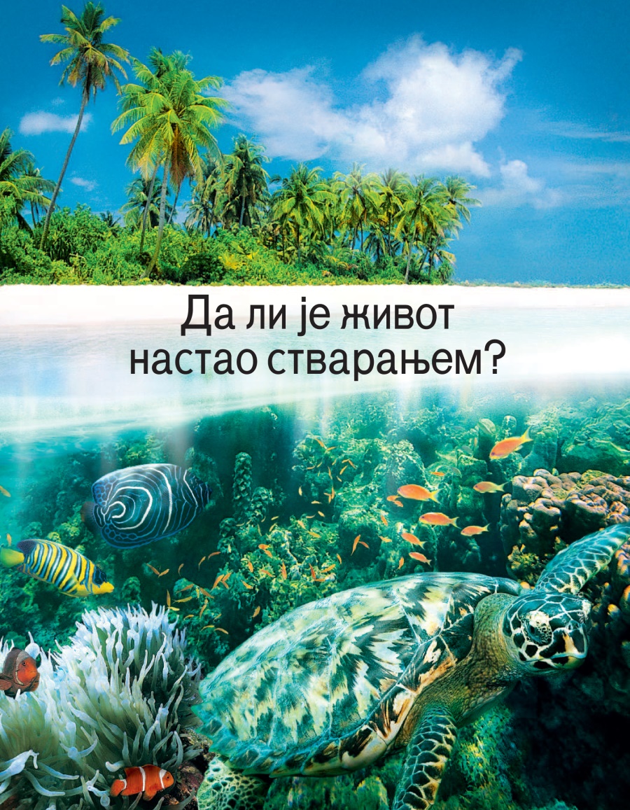Да ли је живот настао стварањем