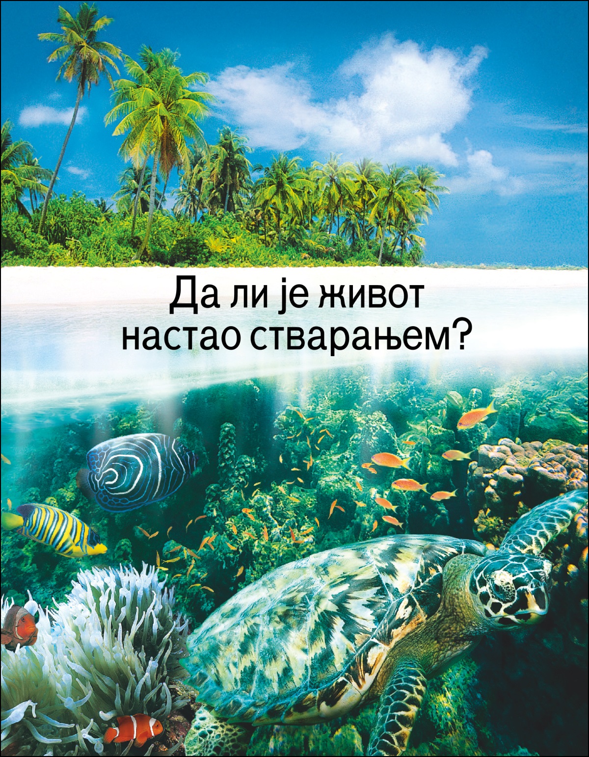 Брошура „Да ли је живот настао стварањем?“