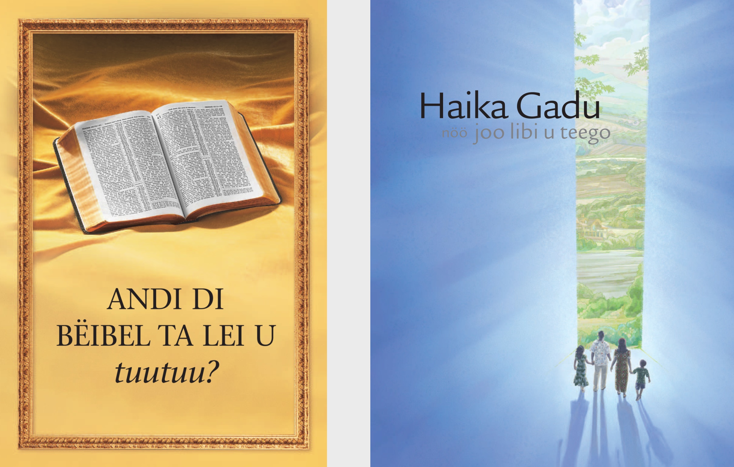 Di buku ’Andi di Bëibel ta lei u tuutuu?’ ku di brochure ’Haika Gadu nöö joo libi u teego’