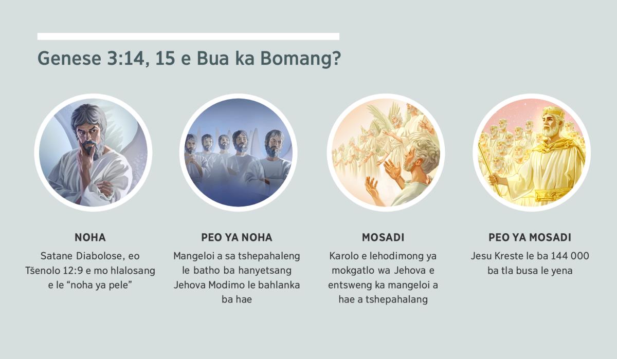 Ditshwantsho: “Genese 3:14, 15 e Bua ka Bomang?” 1. Noha: Satane e leng lengeloi le kgopo. 2. Peo ya noha: mangeloi a kgopo. 3. Mosadi: mangeloi a tshepahalang. 4. Peo ya mosadi: Jesu Kreste le batlotsuwa ba tla busa le yena lehodimong. Ho buuwa ka dintho tsena hape serapeng sa 4, 5, 7 le 8.