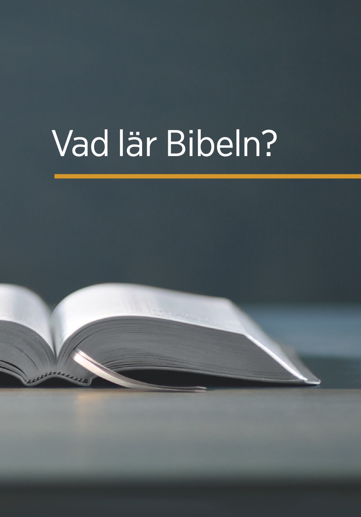 Boken ”Vad lär Bibeln?”.
