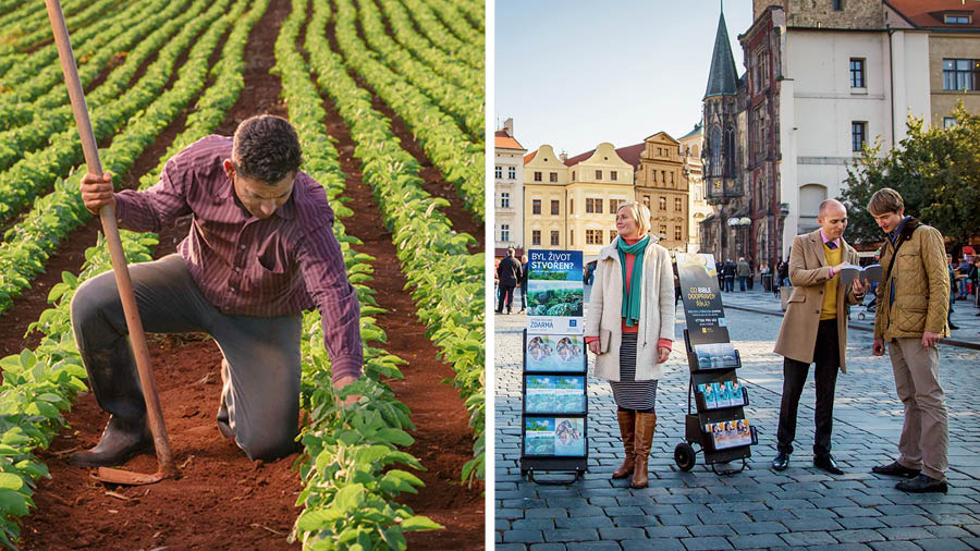 Séria obrázkov: 1. Roľník kľačí na svojom poli a prezerá si úrodu, v ruke drží motyku; 2. brat a sestra v službe so stojanmi; brat číta mužovi z Biblie